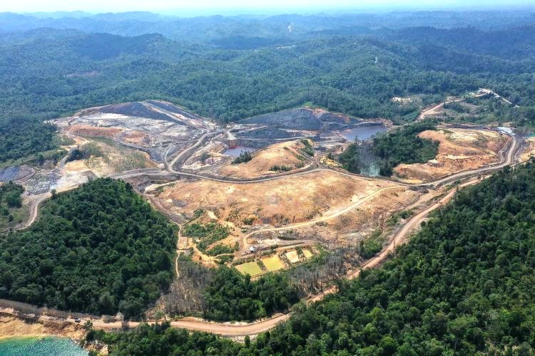 hutan-ikn-gundul-regional-kompas-dotcom.jpg?w=750